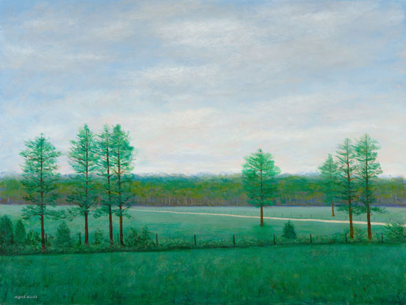 Summer evening landscape painting