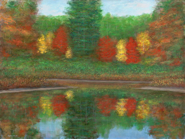 Bream Pond Maple Trees